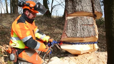 Ausbildungsleiter Paul Schaarschmidt legt einen Baum in Ketten. Mit einem Traktor sollte der Koloss zu Fall gebracht werden. 