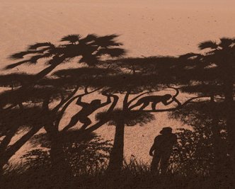Bereits vor sieben Millionen Jahren waren Vorfahren der Vormenschen auf zwei Beinen unterwegs, kletterten aber auch noch auf allen Vieren durchs Geäst. 