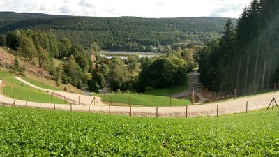 Blick von der sanierten Wismut-Halde 54 zur Schwarzenberger Straße. Im Hintergrund ist das Solarkraftwerk am Bahnhof Johanngeorgenstadt zu sehen.