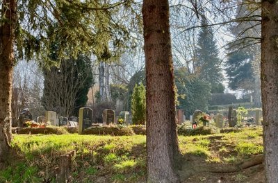 Der Friedhof Lößnitz ist nicht nur letzte Ruhestätte, sondern auch Biotop und historisches Kleinod. 