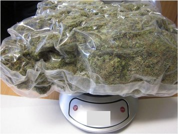 Das bei den Verdächtigen beschlagnahmte Marihuana.