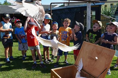 Die Kinder durften auch Tauben fliegen lassen, die sich dann auf den Weg machten zu einem befreundeten Züchter nach Thum.