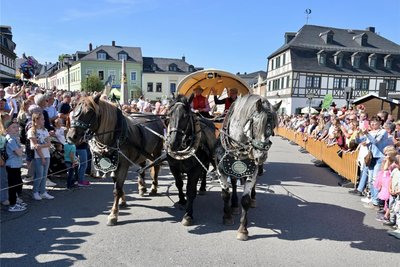 Beim Umzug am Sonntag waren es fast 40 Bilder.