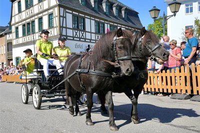 Beim Umzug am Sonntag waren es fast 40 Bilder.