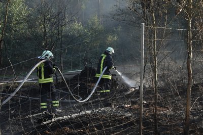 Auf einer Strecke von zirka 300 Metern brennen der Waldboden und ein großer Holzstapel.