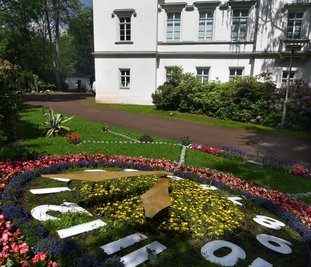 Die Blumenuhr im Stadtpark Hainichen war oft Ziel von Randalierern. Jetzt wird sie durch eine Videokamera vom gegenüberliegenden Gellert-Museum aus überwacht. 