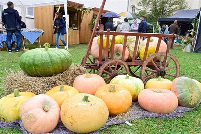 Warum ein Herbstmarkt so heißt, das war in Wiedersberg nicht zu übersehen.