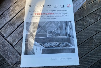 Grisu, der Kater von Heike Wenige aus Freiberg, ist im Literarischen Katzenkalender 2025 im Monat Mai abgebildet. Schon mehrfach war der Vierbeiner in dem Kalender mit einem Foto präsent.