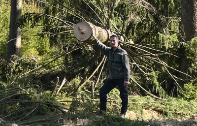 André Berger, der Leiter des Forstreviers Neudorf, an einem vom Borkenkäfer befallenen Baum.