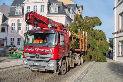 Bei dem Baum handelt es sich um eine 20 Meter hohe Fichte.