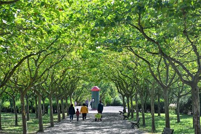 Blick auf die Eingangsallee des Parks mit 40 Platanen, die im Winter bei Einbruch der Dunkelheit dank LED-Lampen beleuchtet werden.