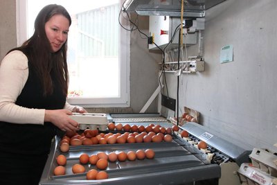 Das Einsortieren der Eier in die Schachteln gehört zu den täglichen Aufgaben von Tina Schürer.