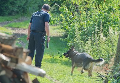 Der Deutsche Schäferhund Hugo von der alten Schmiede der Chemnitzer Polizei hat am Dienstag einer Frau das Leben gerettet. (Symbolbild)
