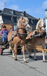 Zum Erzgebirgischen Pferdetag und dem Zwönitzer Erntedankfest hat es am Sonntag auch wieder einen Festumzug gegeben. 