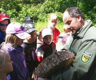Schüler bei den Waldjugendspielen 