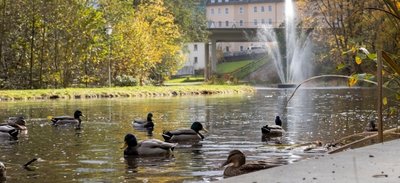 Für den Waldschlößchenpark soll mehr geworben werden. Eine bessere Beschilderung ist dabei ein Aspekt. Auch mit Veranstaltungen soll die Anlage mehr Aufmerksamkeit bekommen. 