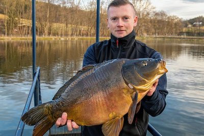 Mit einem Gewicht von rund 6,5 Kilogramm gehört dieser Karpfen, den Fischwirt Andy Kaden in den Händen hält, zu den größten Exemplaren seiner Gattung. Die Hallbacher Fischzucht hat gut zu tun, denn frischer Fisch gehört zum Jahreswechsel auf viele erzgebirgischer Teller. 