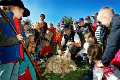 Kinder beobachten Lammscheren