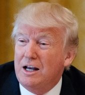 Donald Trump - US-Präsident