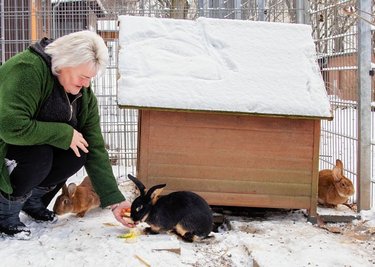 Manuela Kroll beim Füttern von neuen Bewohnern des Tierheims Langenberg. 