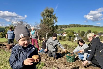Erstaunt und begeistert zeigt sich der dreijährige Louis über die Knollen aus dem Boden.