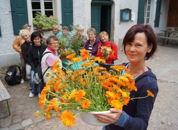 Jana Schreiter zeigte am Sonnabend den Teilnehmerinnen an der Kräuterwanderung, wie man mit einfachen Mitteln aus Ringelblumen eine Salbe bereitet.