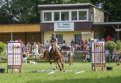 Zwei Tage lang treffen sich Pferdesportvereine aus der gesamten Region in der Stadt, es werden verschiedene Spring- und Dressurwettkämpfe ausgetragen und eine Vielzahl von Showeinlagen geboten.