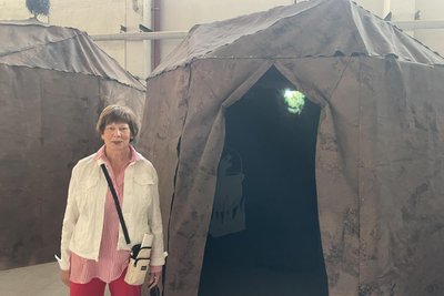 Ex-Bau-Unternehmerin Inge Oehme kam für den Beton - und war fasziniert von der Kunst. Hier vor der Installation „The Carrion Cheer, A Faunistic Tragedy“ von Böhler und Orendt.
