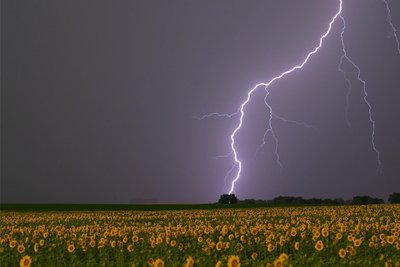 Ein Gewitter in Brandenburg. Unwetter, Starkregen und Überflutungen nehmen durch den Klimawandel zu. Ein neues Gesetz soll die Anpassung an diese Entwicklung fördern.