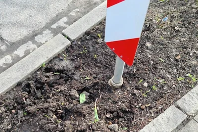 Nicht mehr als kahle Erde und abgebrochene Stängel hinterließen die Diebe an der Chemnitzer Straße.