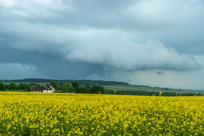 Der Deutsche Wetterdienst warnt am Samstag vor starkem Unwetter.