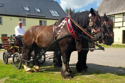 Mit Pferdegespann ist der Gahlenzer Jürgen Richter auch regelmäßig unterwegs.