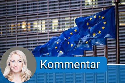 Ungarn und Polen haben beim EU-Gipfel der Staats- und Regierungschefs in Brüssel für einen Eklat gesorgt. 