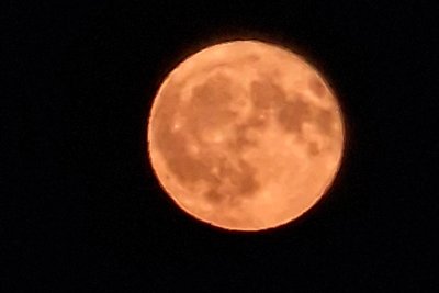 Ina Seidel fotografierte den Erdbeermond – der auch Rosenmond oder Honigmond genannt wird – über Annaberg-Buchholz.