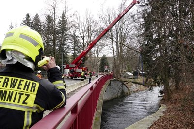 Der Baum wurde zur Sicherung an einen Kran gehängt und von der Feuerwehr zersägt.