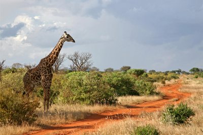 Der Weischlitzer Fotograf und Filmemacher Gerald Heinz lädt für Sonntag zu einer Reise nach Südafrika ein, das Land der Zulu und wilden Tiere.