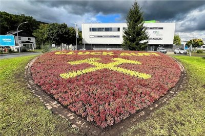 Das Wappen-Beet in Aue.