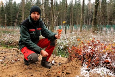 Hubertus Kaiser zeigt eine Rotbuche. Sie gehört zu den einheimischen Baumarten.