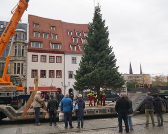 Sieht gut aus, finden die Zaungäste.