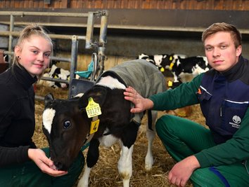 Aimy Junghans und Rico Hainich im Kälberstall der Agrargenossenschaft in Cunnersdorf. Die 17-Jährige aus Bockendorf hat eine Lehre als Landwirtin begonnen. Rico ist als Sohn des Vorstandsvorsitzenden mit Landwirtschaft groß geworden und heute Leiter der Milchviehanlage.