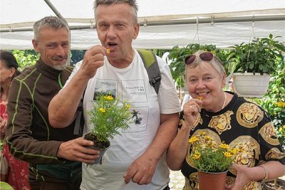 Christina und Michael Olesch testen am Stand von Henry Kobisch eine essbare Pflanze.