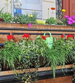 Nicht nur Blumenkübel sollen bepflanzt werden. 