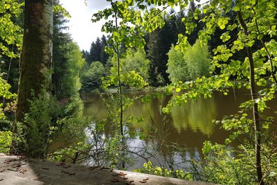 Am Bärenteich treffen Oberlauterbacher und Schreiersgrüner Flur zusammen. Das Gelände liegt aktuell nicht mehr innerhalb der Potenzialflächen-Markierung.
