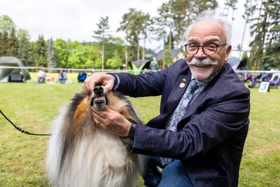 Ein prüfender Blick aufs Gebiss gehört bei der Ausstellung britischer Hütehunde dazu: Zuchtschaurichter Harald Steinmetz bewertet auf dem Peniger Hundesportplatz einen Langhaarcollie.