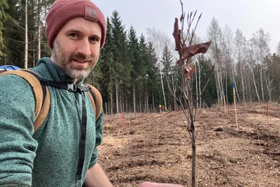 Revierleiter Nick Schubert legt auf Sachsenforst-Flächen gern Versuchswälder an. Exotische Bäume wie die Libanonzeder oder die Orientbuche könnten hier heimisch werden.