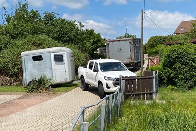 Das Veterinäramt hatte Pferdeanhänger und Tiertransporter nach Geringswalde bestellt, um die Pferde abholen zu können.