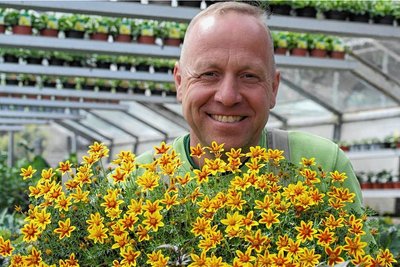 Damit Insekten Nahrung finden, empfiehlt Gärtner Falk Horn Pflanzen mit offenen Schalenblüten. 