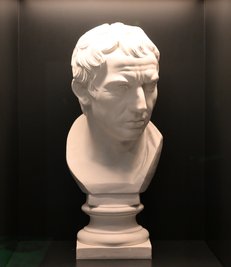 Plinius der Ältere wollte Menschen retten und starb dabei selbst.