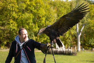 Während des letzten Drehtags: MDR-Moderator Mario Richardt mit Seeadler Wilhelm.