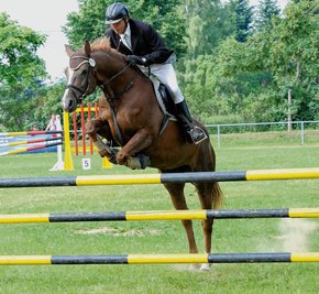Burkhard Sieber vom RFV Seifersdorf war einer von exakt 130 Pferdesportlern, die am traditionellen Reit-, Spring- und Fahrturnier in Weißbach teilgenommen haben.